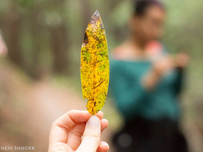 Before we continued, Plevin asked us each to pick up a leaf or rock, something that spoke to us. We deposited our worries and fears into the items and placed them on the ground.