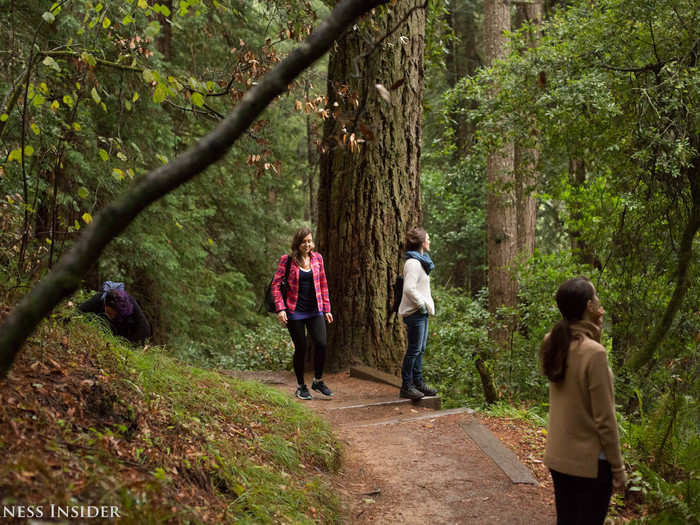 Then we took off on the trail, a 3.5-mile loop with a difficulty level of easy. Plevin asked for 10 minutes of silence as we walked and opened our senses to the world around us.