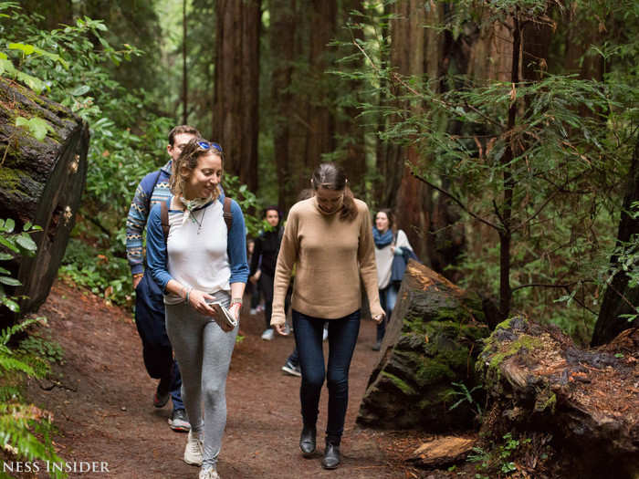 The San Francisco group has racked up 250 members in nine months, which is unsurprising as more screen-addicted Americans look for simple solutions to beat back stress.