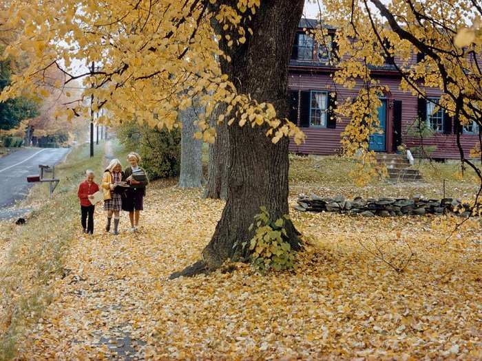 Maine, 1968: Autumn