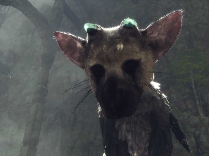 But if they encounter Trico, he