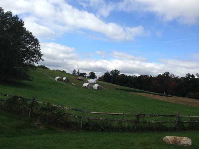 The scenery is spectacular. This is a working farm. There are cows and sheep in the fields, a beekeeping area, and lots of farming plots and pastures.