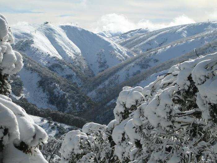 Carve through the snow at Australia