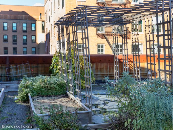 They also grow their own food. Kickstarter keeps a vegetable garden on its roof, where employees cultivate herbs, blueberries, strawberries, lavender, sage, chard, oregano, figs, radishes, squash, tomatoes, peppers, lettuces, and kale.