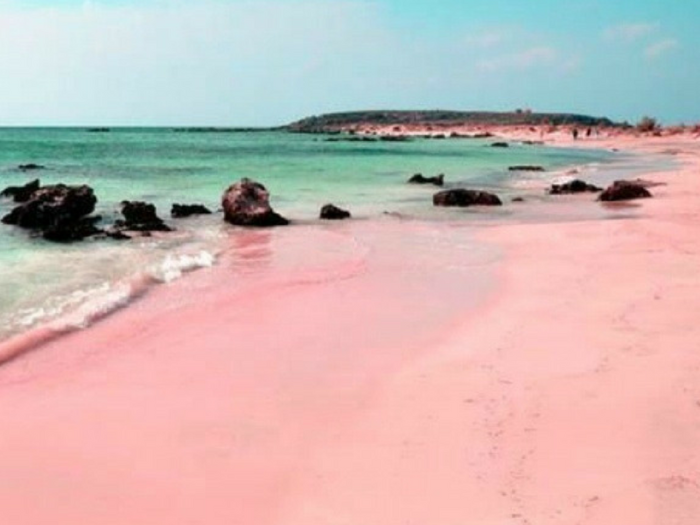 Pink Sand Beach