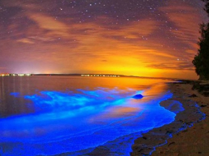  Glow-in-Dark Beach