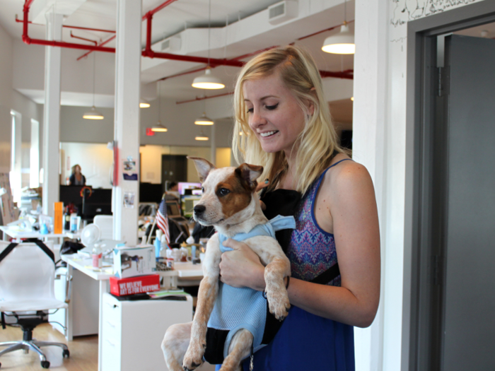 The office is stocked with plenty of treats for both dogs and humans.