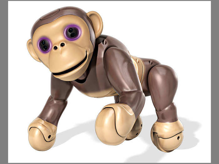 Zoomer Chimp