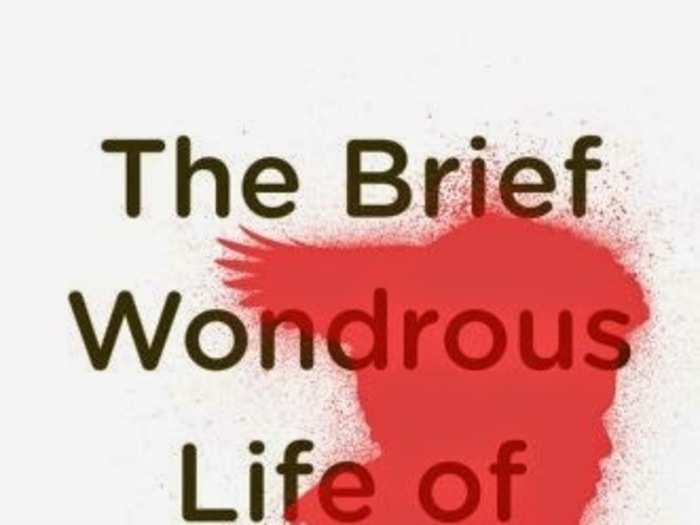 Ages 10-19: "The Brief Wondrous Life of Oscar Wao" by Junot Diaz