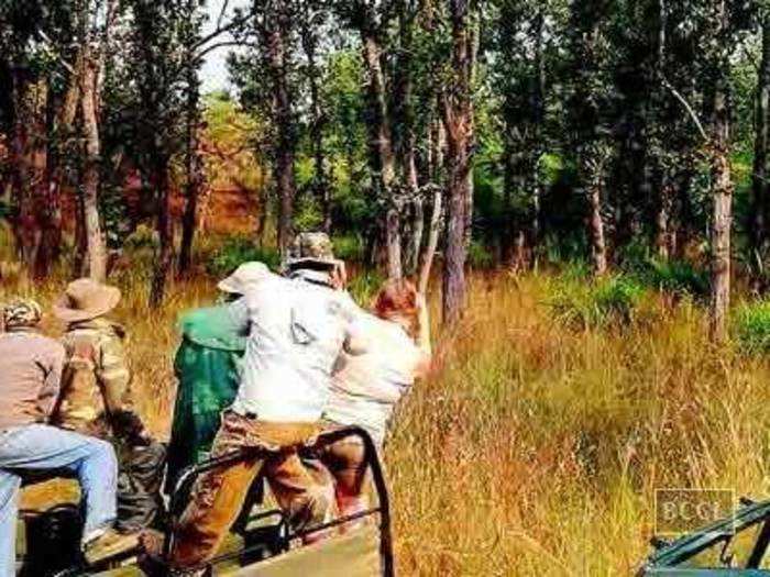 Bandhavgarh during Gandhi Jayanti