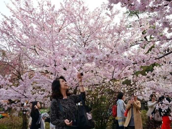 Baisakhi and Good Friday in Tokyo