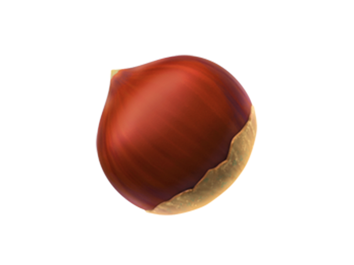 If you see an acorn, you