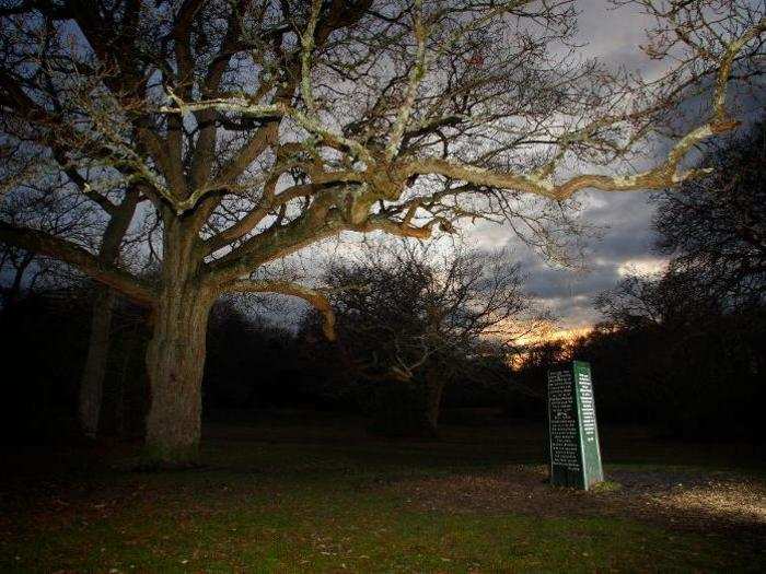 7. The Rufus Stone in the New Forest, in the south of England, allegedly marks the spot where King William II was fatally wounded with an arrow in 1100.