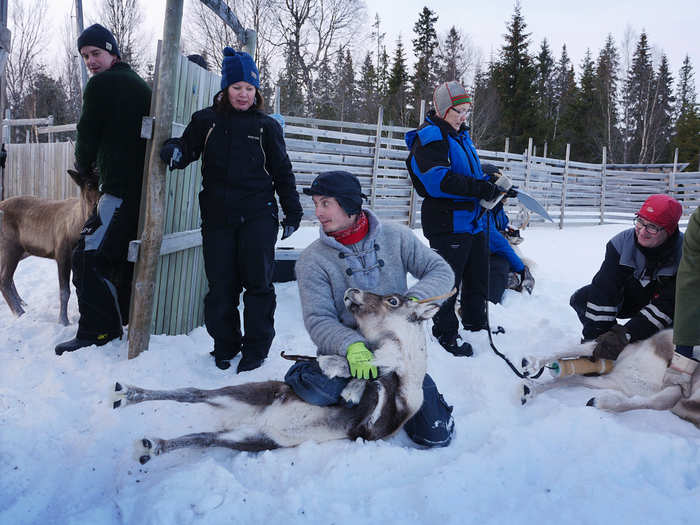 "The aftermath of Chernobyl was devastating," Chapple tells Business Insider. "[The herders] went from living this timeless lifestyle, completely at one with nature, to suddenly working in one of the most contaminated places on earth."