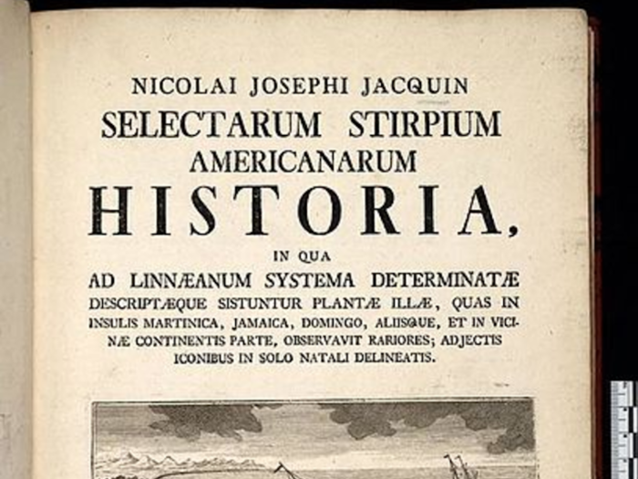 2. Selectarum Stirpium Americanorum Historia by Nicolaus Joseph Jacquin — £20,817 ($25,679)