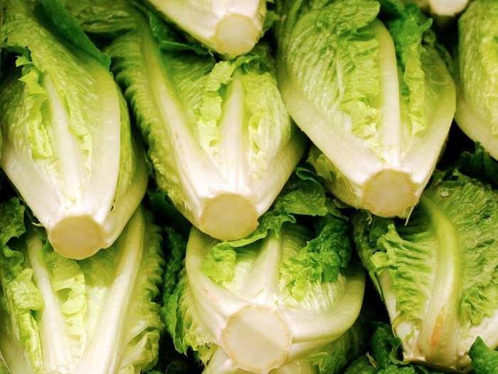 No. 5. Romaine