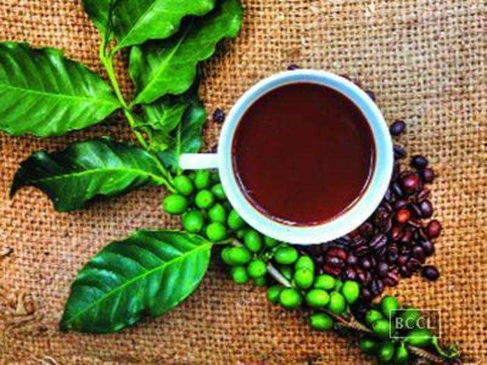 Green coffee diet