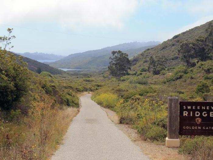 ... to Sweeney Ridge, a local hiking trail a few miles south of San Francisco, where the sun is warm and the wind whips fiercely through the hills.