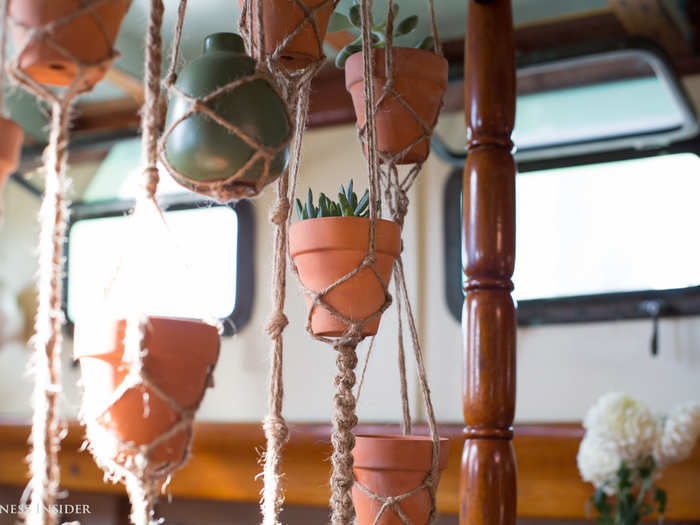 Potted succulents hang in a vertical garden overhead.