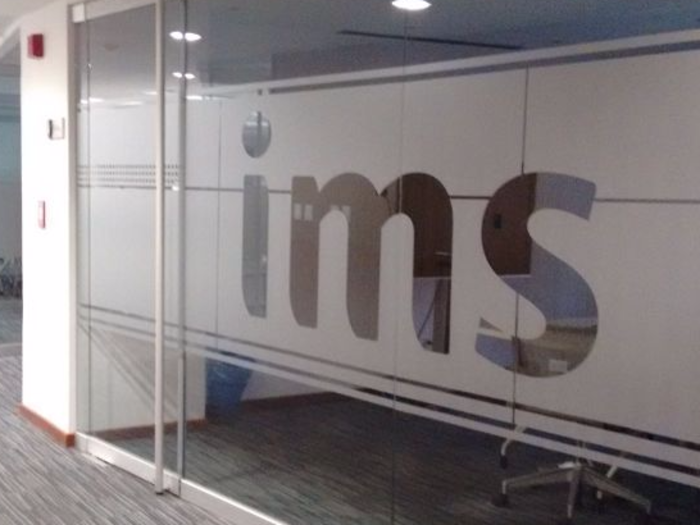 13. IMS Consulting Group