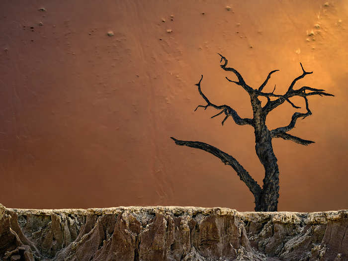 And the contrast in texture here in this other shot from Deadvlei, Sossusvlei, Namibia, is fascinating. A fourth image from the third-place winner of the "Photographer of the Year" contest.