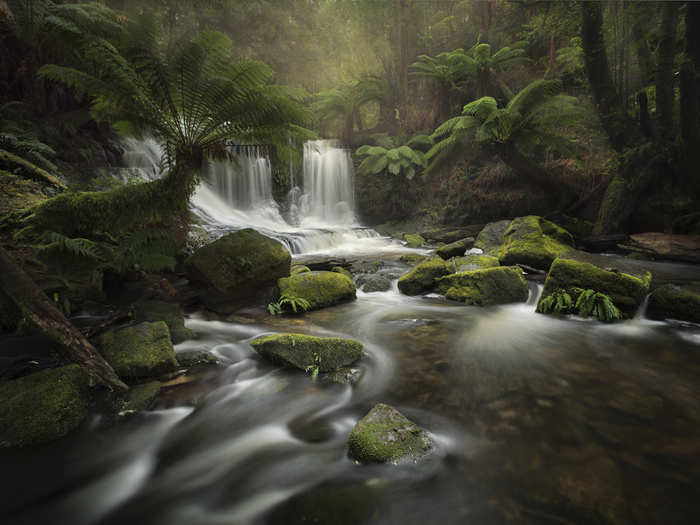 Here in a third photo from the second-place body of work, she captures the constant motion of water at Mt. Field National Park in Tasmania, Australia.