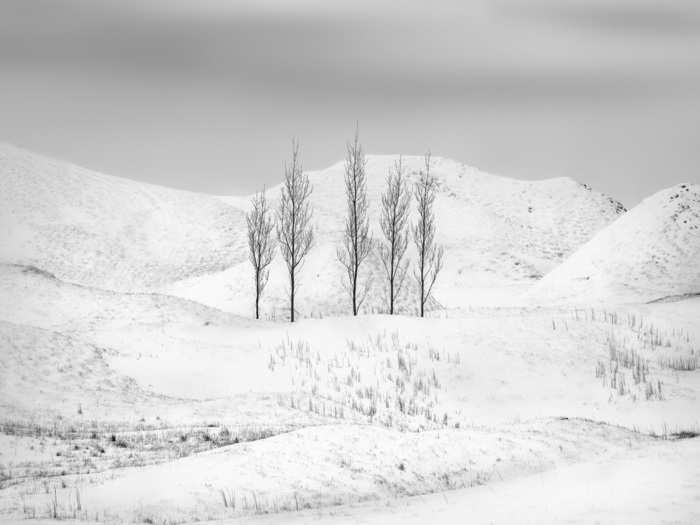 Kath Salier came in second in the "Photographer of the Year" award for her work. Here we see a stark view of Iceland.