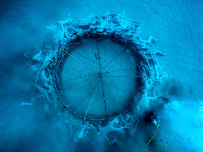 It is made up of over 200 life-size human figures in a circle made for marine species to inhabit. "The artistic installation reminds us that we have evolved from marine life, and are all subject to the movements and will of the ocean," the museum says.