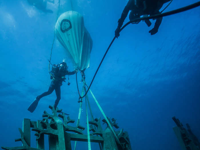 They were installed by hardworking scuba divers.