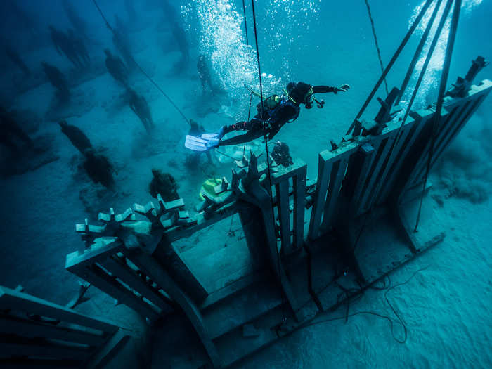 The installations include a 100 tonne 30 metre-long wall, an underwater botanical sculpture garden, and over 200 lifesize human figures in a whirlwind formation.