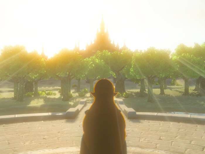 And here she is looking upon her kingdom — her "kingdom" being Hyrule, in case you