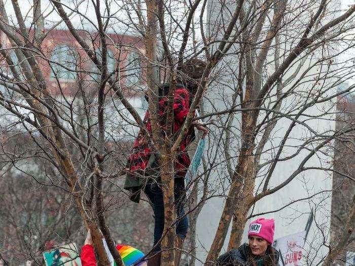 Nearly 500,000 people marched on Washington for women