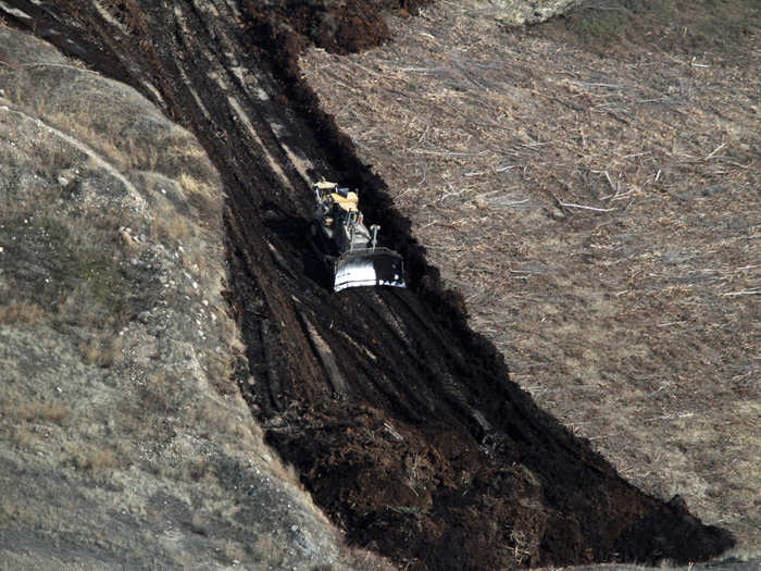 Then they scrape away the shallow layer of leafy, peaty topsoil called muskeg.