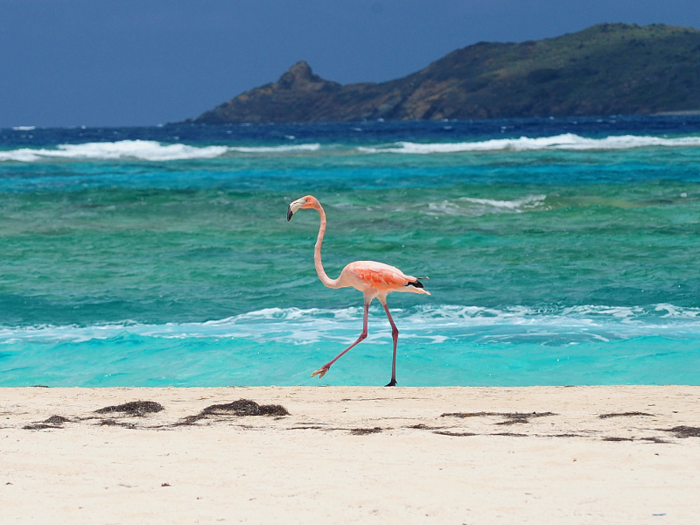 The tropical paradise was named after 17th-century Dutch squadron commander Johannes de Neckere. It was uninhabited until the late 20th century, and purchased by Branson (who was 28 at the time) for a modest  $180,000 in 1978.