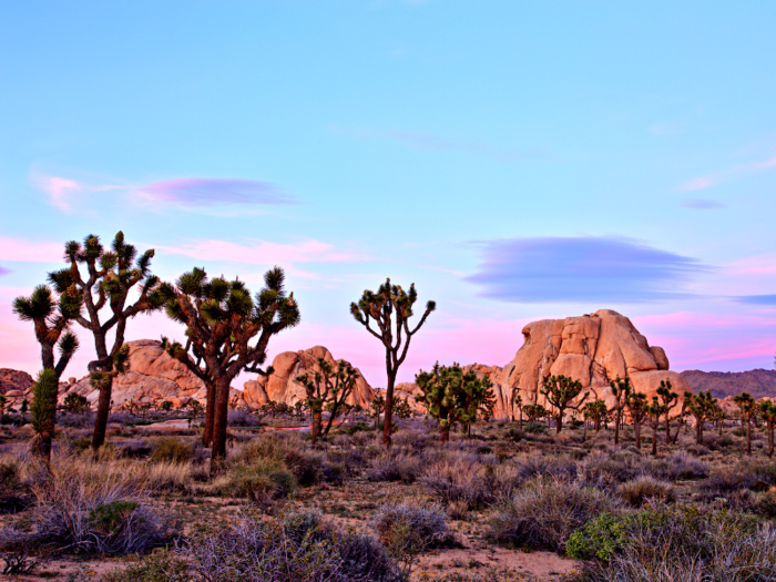 Joshua Tree National Park, California