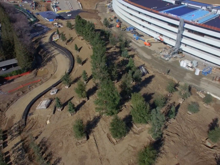 Some landscaping has started. Apple has planted these trees, for example, and started to build a path.