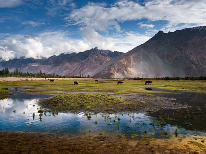 Nubra Valley, Ladakh