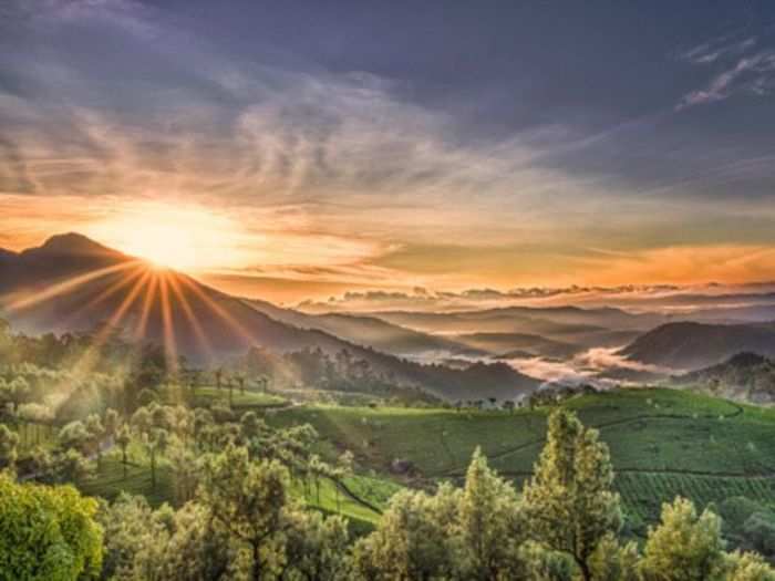 Munnar, Kerala