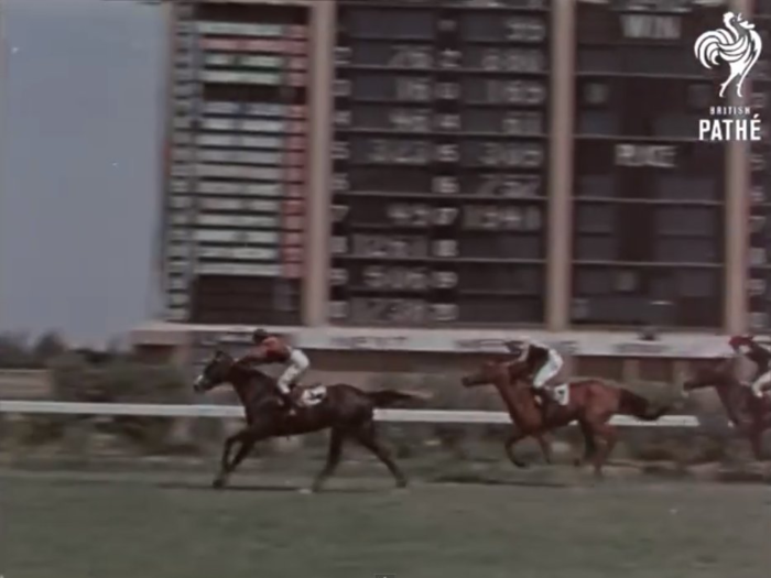 "The sport of kings," horse racing, has apparently also arrived in Baghdad in the 1950s, with horses descended from three British purebreds brought from the UK over two centuries earlier.