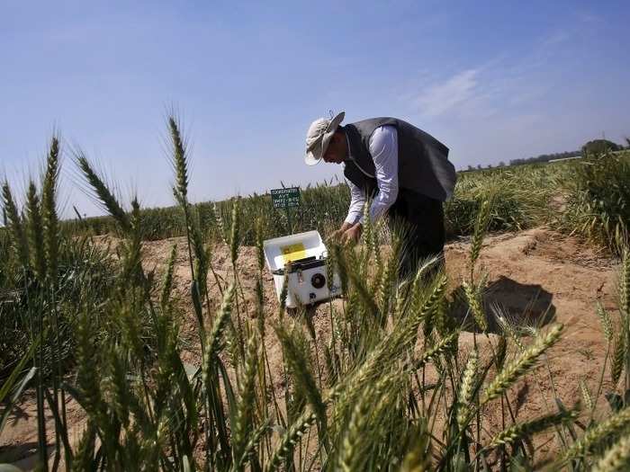 Agricultural engineer