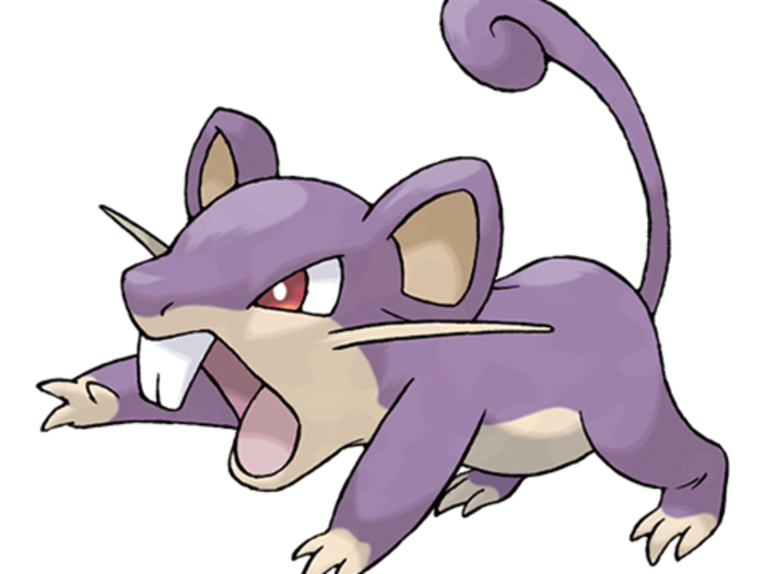 19. Rattata