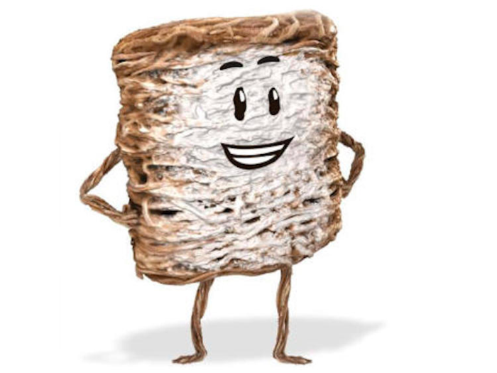 Later, Kellogg said Mini-Wheats could make you smarter.