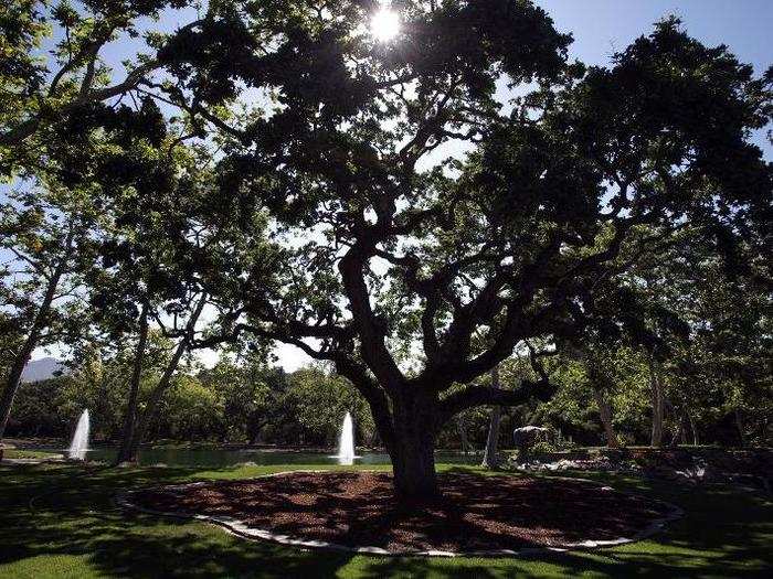 As you can imagine, the grounds are extensive and heavily manicured. Here is one of the lakes, with fountains in the center.