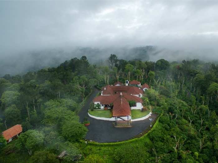 Bird-view to bird watching