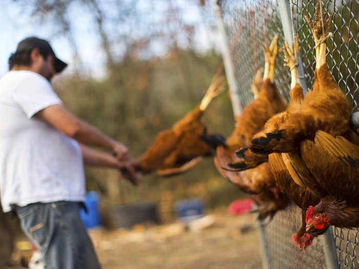 The residents work together to ensure they can stand up to an apocalyptic event. In addition to livestock, they also have a greenhouse and trailers to hold food supplies.