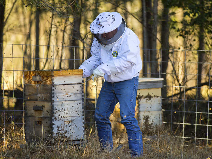 Oh, and bees. They help the vegetables, flower, and other garden plants thrive.