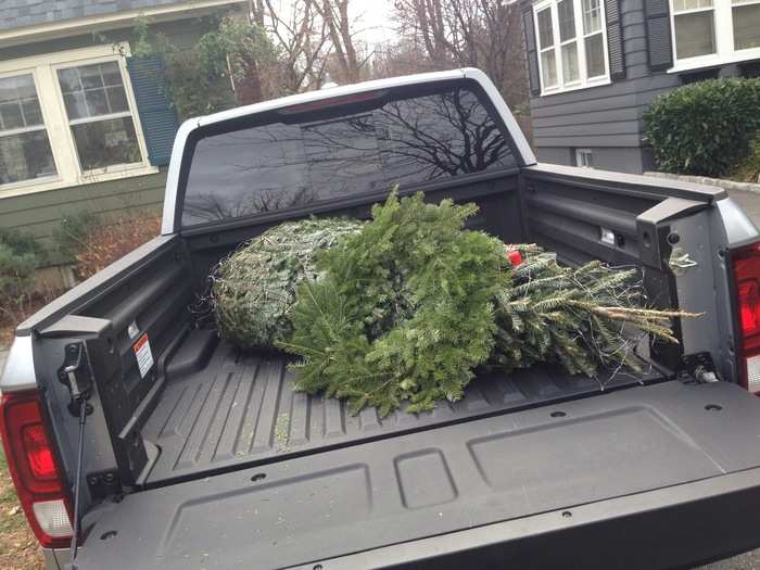 We used the Ridgeline to fetch a Christmas tree and a wreath last year. Again, no sweat. You