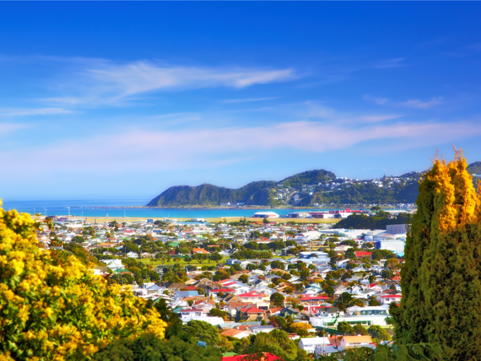 If your work visa gets accepted, New Zealand has a few pieces of advice for moving.