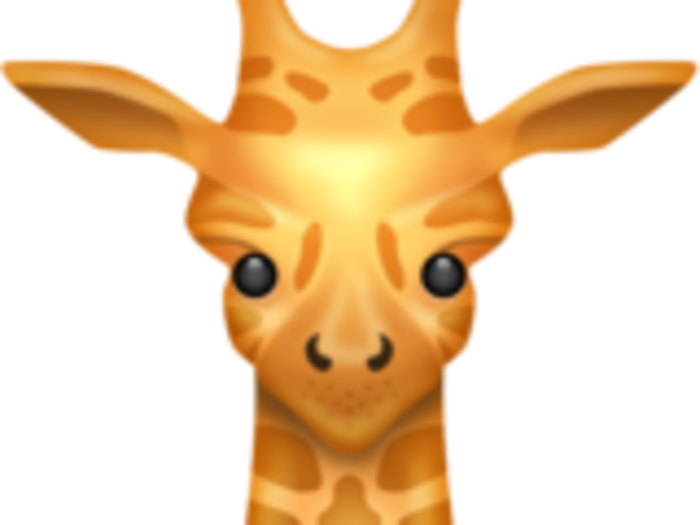 8. Giraffe Face