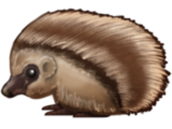 19. Hedgehog